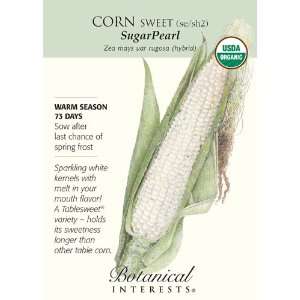  SugarPearl White Corn Seeds   5 grams   Organic: Patio 