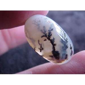  Gemqz S2507 Dendrite Agate Oval Cabochon Beauty 