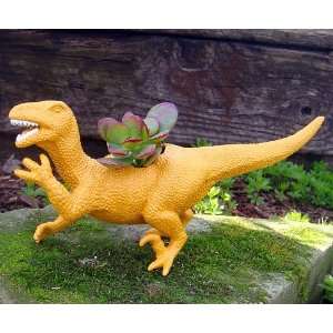  Dina the Deinonychus Dinosaur Planter + Live Plant   Easy 
