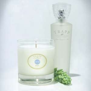 Trapp Candles No 20 Water  7 Oz Poured Candle:  Home 