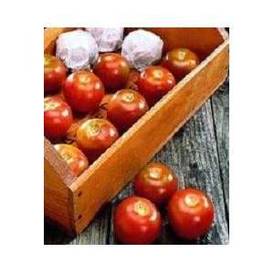    Longkeeper Globe Organic Tomato Seeds: Patio, Lawn & Garden
