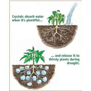  4 Oz.soil Moist ure Trap Polymers Soil Vigor (Tm) Patio 