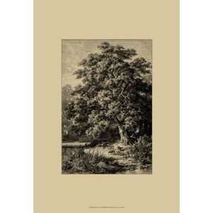  Oak Tree by Ernst Heyn 13x19