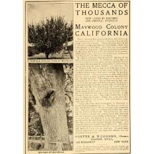   California Land Foster & Woodson   Original Print Ad