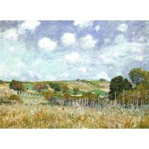  Oil Painting Meadow Alfred Sisley Hand Painted Art