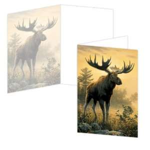 ECOeverywhere Northwoods Moose Boxed Card Set, 12 Cards 