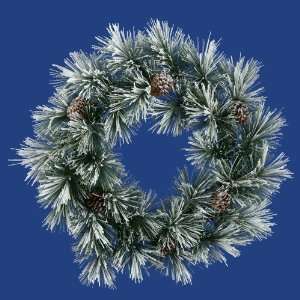  30 Flkd Scotch Pine Wreath 29tips