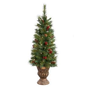   Pine Potted 50 Clear Lights Christmas Tree (B116241): Home Improvement