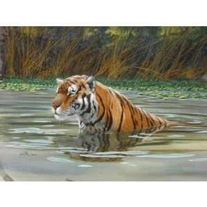  Bengal Tiger   Don Balke animal print