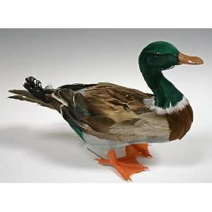    12 Artificial Feathered Mallard Duck Arts, Crafts & Sewing
