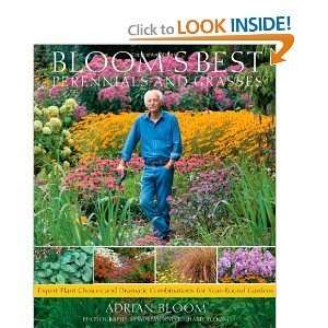  Best Perennials and Grasses Expert Plant Choices and 