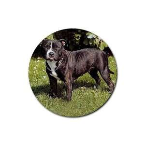 Pit Bull Rubber Round Coaster (4 pack) 