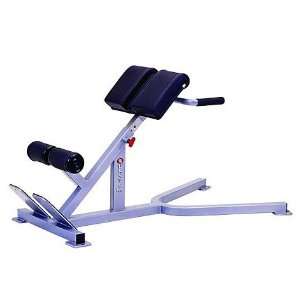 Quantum Fitness 45 Degree Hyperextension Bench(02/11/2008 