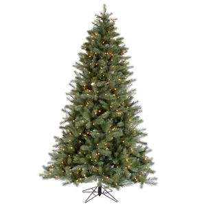   Blue Albany Spruce 600 Clear Lights Christmas Tree (A114576): Home
