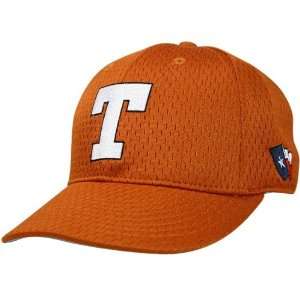  Nike Texas Longhorns Burnt Orange Mesh Fitted Hat: Sports 
