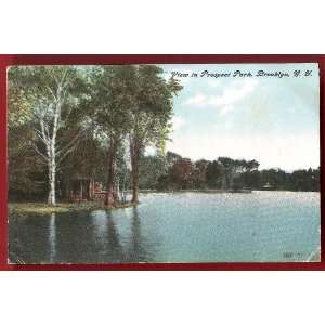   View In Prospect Park 1908 Brooklyn New York City 