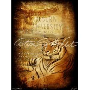  Auburn   Tiger Pride Photo
