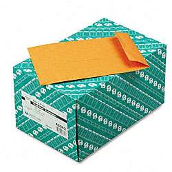 Redi Seal Catalog Envelopes   6.5 x 9.5 (250/Box)  Overstock