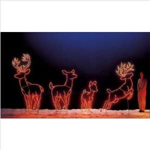  Holiday Lighting Specialists 693, 696, 694, 695 Deer 