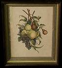 FRAMED Vintage Print J. L. Prevost Pears, Peaches, Plums and Grapes 