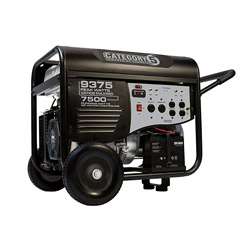   Heavy Duty Generator with Remote Electric Start  Overstock