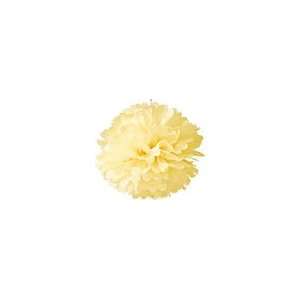    Lemonade Yellow 10 Inch Tissue Paper Pom Pom: Home & Kitchen