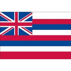  Spectrapro Polyester Hawaii State Flag: Patio, Lawn 