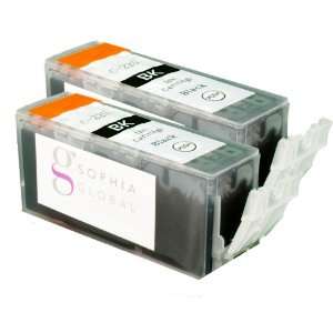   Ink Cartridge Replacement for Can PGI 224 (2 large black) Electronics