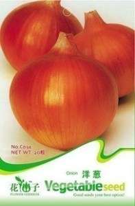 Bag 20 Red china Heirloom Onion Seed + Free Gift C034  