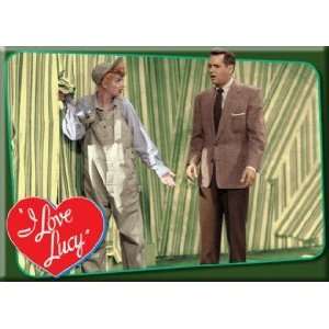  I Love Lucy Papering Wall Magnet 25206LU: Kitchen & Dining