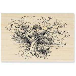  Shade Tree   Wood Mounted Rubber Stamp Arts, Crafts 