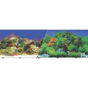   Background 12 Inch 50Ft Coral Reef & Fresh Water Garden: Pet Supplies