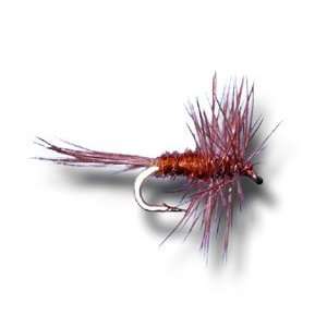  Midge Dry Brown Fly Fishing Fly: Sports & Outdoors