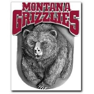  Montana Grizzlies Hitch Cover Automotive