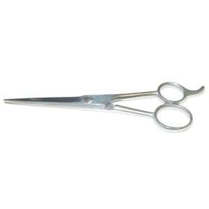  Ice Tempered Stainless Steel Shear # 74 * 6 Health & Personal Care