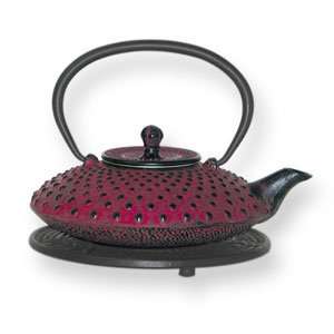 Red Tetsubin Cast Iron Teapot 27 oz with Infuser & Trivet  