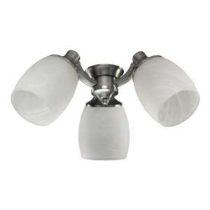  Ceiling Fan Light Kit in Satin Nickel: Home Improvement