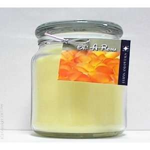  Hand Made Scented Soy 16oz Classic Jar Candle   Ferns 