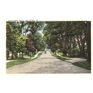  1920s Vintage Postcard Main Street North Waldoboro Maine 