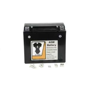 AGM 12 Volt 310 Cold Cranking Amps Sealed Maintenance Free Battery 