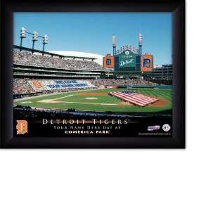  Detroit Tigers Personalized Stadium Print: Sports 