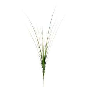 28 Onion Grass Spray Green (Pack of 12):  Home & Kitchen