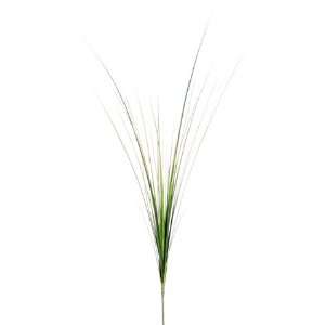 28 Onion Grass Spray Green (Pack of 12) 