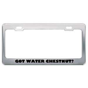 Got Water Chestnut? Eat Drink Food Metal License Plate Frame Holder 