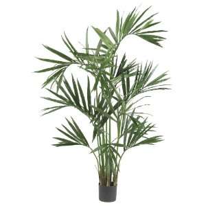  6 Kentia Palm Silk Tree Patio, Lawn & Garden