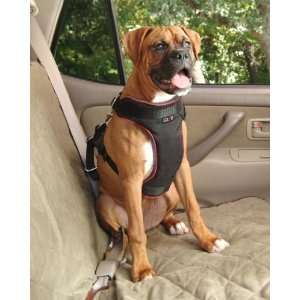  Pet Vehicle Safety Harness   L (45 85 lbs): Pet Supplies