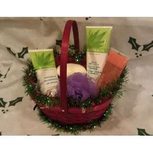  Skin Care Gift Basket Bath & Body Set: Beauty