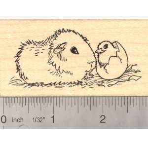  Guinea Pig with Hatching Chick, Easter Rubber Stamp: Arts 