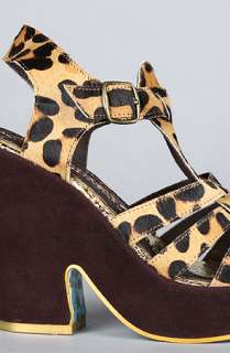 Irregular Choice The Mumba Shoe in Leopard  Karmaloop   Global 