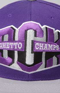 DGK The Ghetto Champs Starter Cap in Purple Grey  Karmaloop 